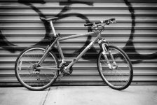 2010.00S.07.319.jpg
