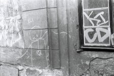 bjork-human behavior.jpg