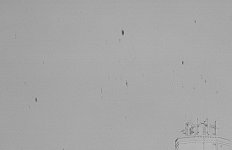 marks on negative tower__.jpg
