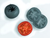 tomato_comp_flat.jpg