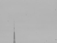 marks on negative riga.jpg