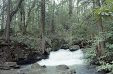 Hemlock Falls 244.jpg