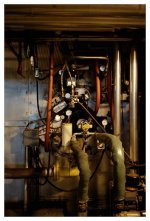 Natura bad plant 3.jpg