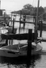 cat boat small.jpg