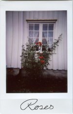 LomoInstax-20141103006s 2014-11-06.jpg
