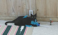 DSCF1274 Small 2.jpg