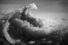 The Great Wave.jpg