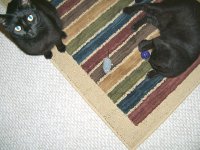 DSCF1638 Small 3.jpg