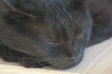 DSC_0109 Small 4.jpg