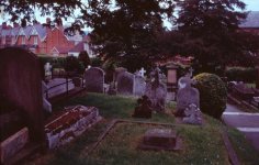 image6.jpg