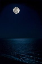 Moon Lit 8x12 rff.jpg
