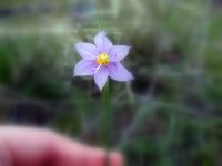 IMG_2915.JPG