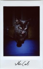 LomoInstax-20141103005s 2014-11-06.jpg