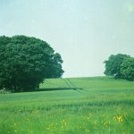 IMG_20160729_0005.jpg