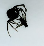 img068.jpg