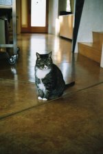 gar6966-R1-037-21.jpg