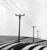 2009-04 Holm farm poles 1 - small.jpg