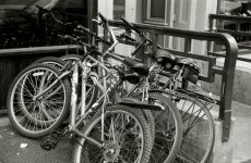 working bikes II.jpg