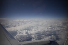 20100925_918_Compressed 1.jpg