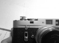 shutter_1.jpg