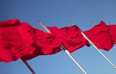 Red flags.jpg