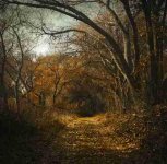 Kern Preserve - Rollei - December 2015- Two-web.jpg