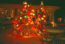 Geneva Lites Dec 06.jpg