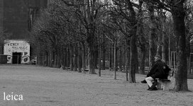 Vergleich Rollei Leica - crop Leica1.jpg