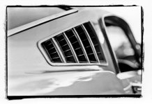 mustang_web_enlarged.jpg