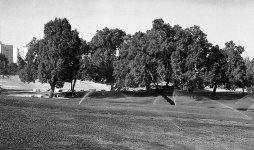 park1-800.jpg