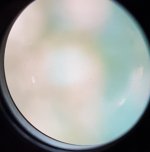 20181210_133016.jpg