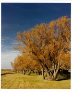 Southern Colorado, 2007.jpg