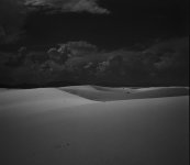 WSNPe-dune1-72dpi-8x7_dark-nml crop.jpg