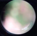 20181210_133140.jpg