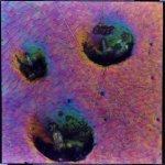 bug_skin_02_sm.jpg