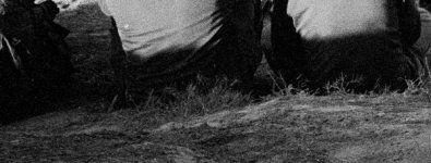 216 024 as a tiff without SH locked cropped.jpg