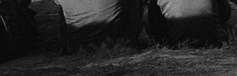 v500 cropped.jpg