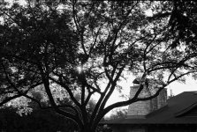 9-26-2007-22.jpg