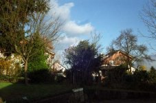 N168_01_med_web.jpg
