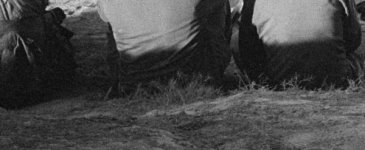 216 024 NikonScan with SH crop.jpg