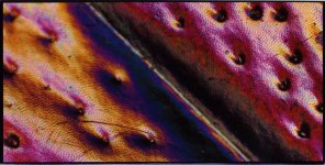 bug_skin_04_sm.jpg