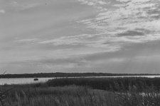 MagothyDuckblind- corrected-17-08-09-008.jpg