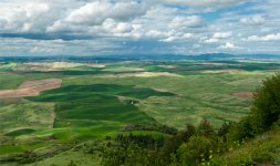 CLR_Steptoe-Butte-RFF01.jpg