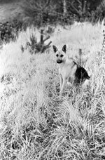 Scan-101128-0011.jpg