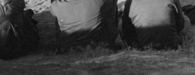 216 024 NikonScan without SH crop.jpg