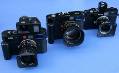 WW9B8078copyq.jpg