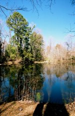 The Pond 03-04-07.jpg