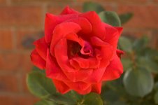 DSC_3069 (Medium).jpg