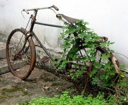 Indian Bicycle.jpg