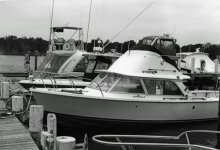 ZSI521_TX001as.jpg